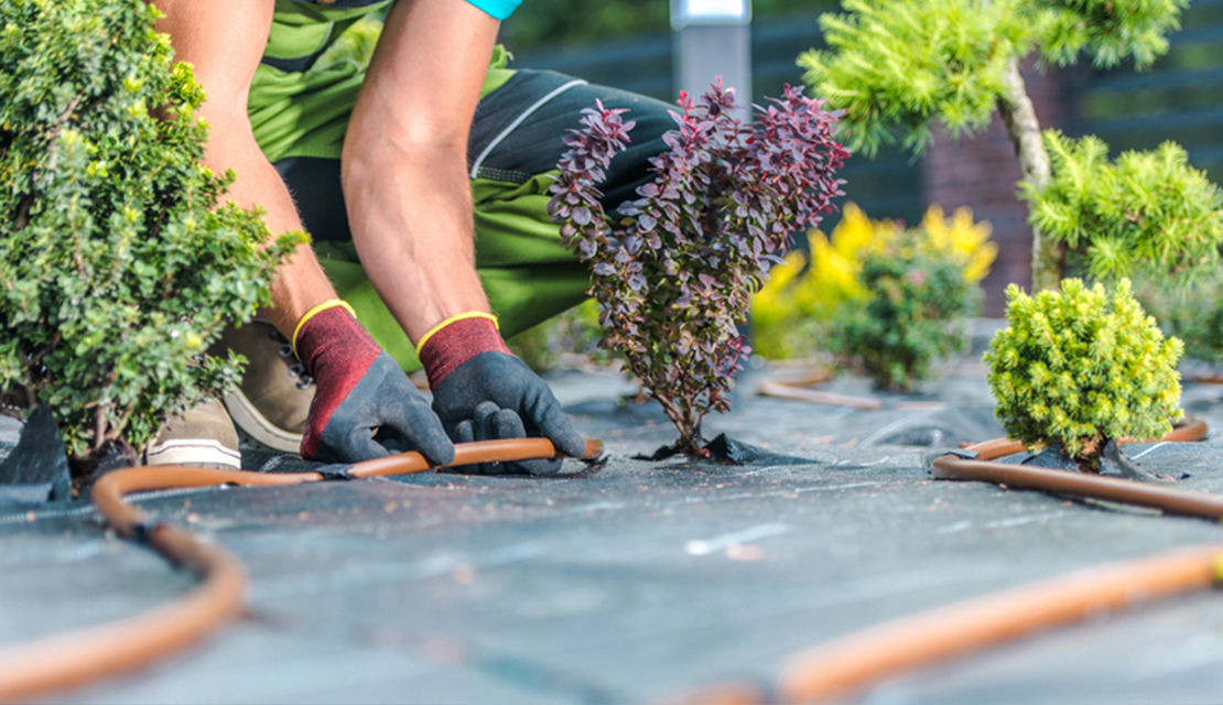 Lawn care Melbourne
